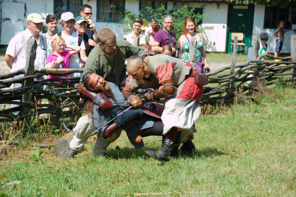 Vikinge krigere